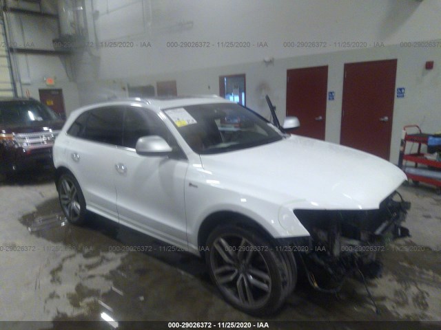 AUDI SQ5 2015 wa1cgafpxfa016383