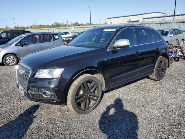 AUDI SQ5 PREMIU 2014 wa1cgcfp6ea083380