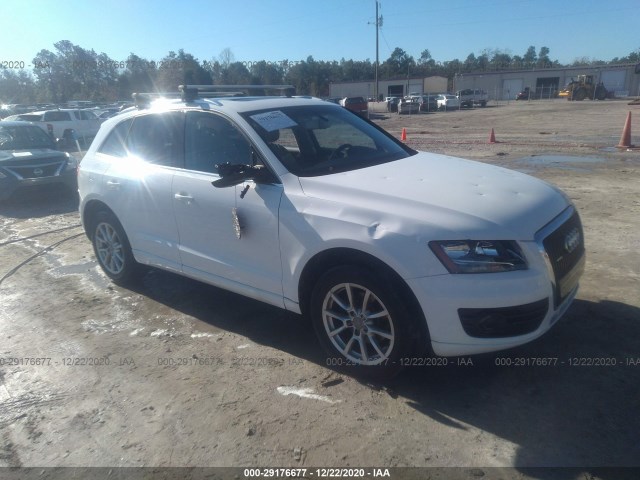 AUDI Q5 2010 wa1ckbfp6aa039334