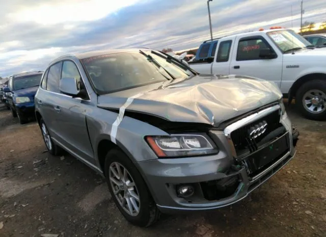 AUDI Q5 2010 wa1ckbfpxaa063331