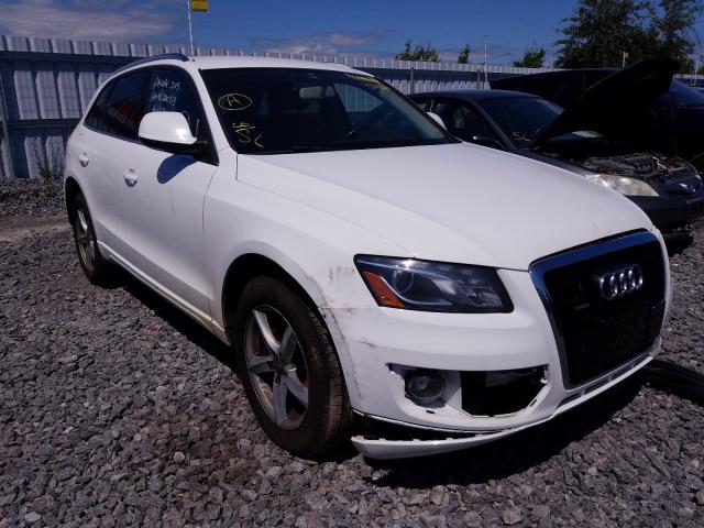 AUDI Q5 PREMIUM 2010 wa1ckcfp3aa084821