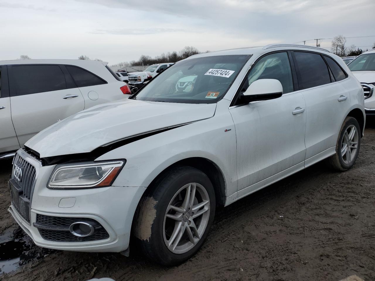 AUDI Q5 2017 wa1d7afp9ha017127