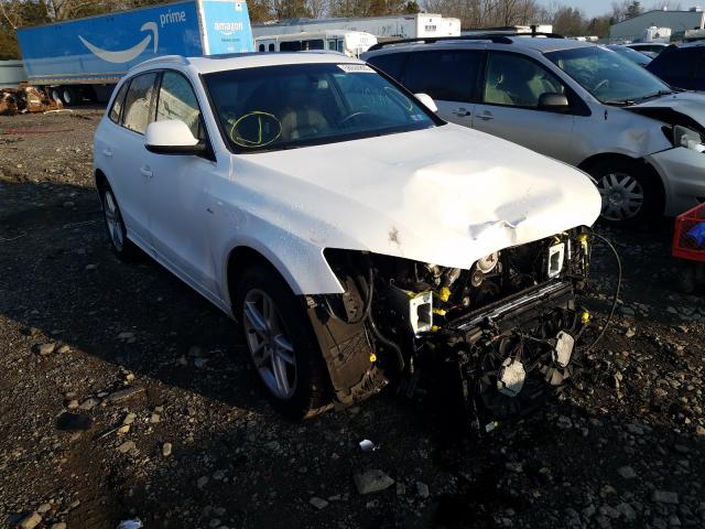 AUDI NULL 2014 wa1dgafp8ea102505