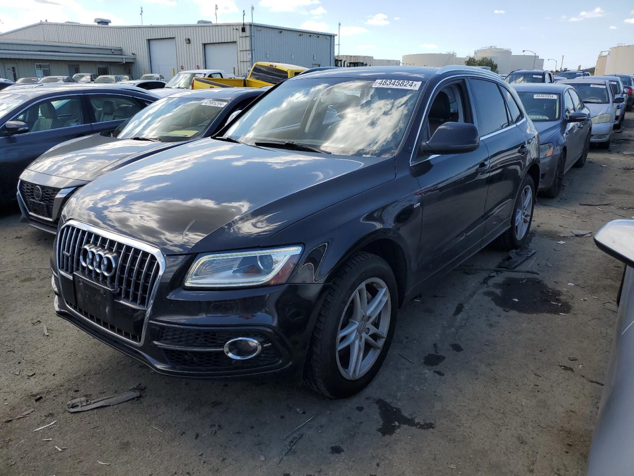 AUDI Q5 2013 wa1dgafp9da029286