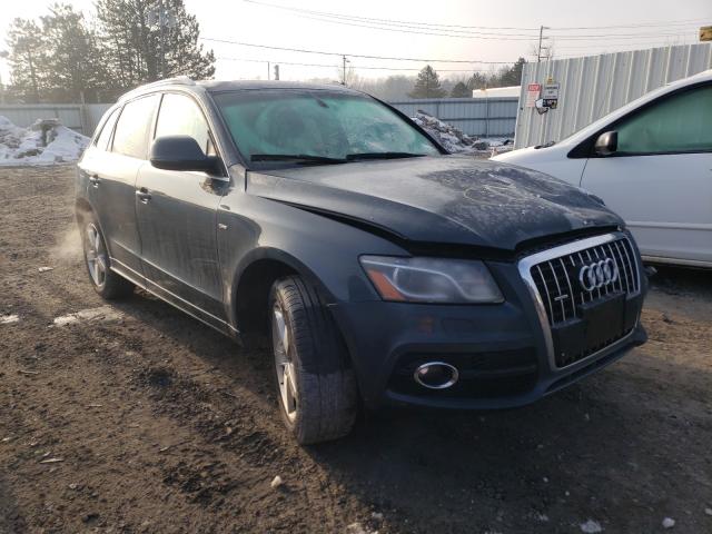 AUDI Q5 PREMIUM 2011 wa1dkafp8ba103499