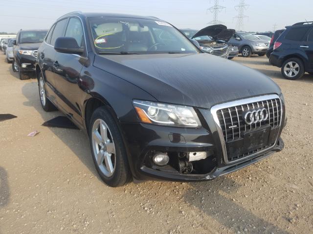 AUDI Q5 PREMIUM 2011 wa1dkafpxba118375