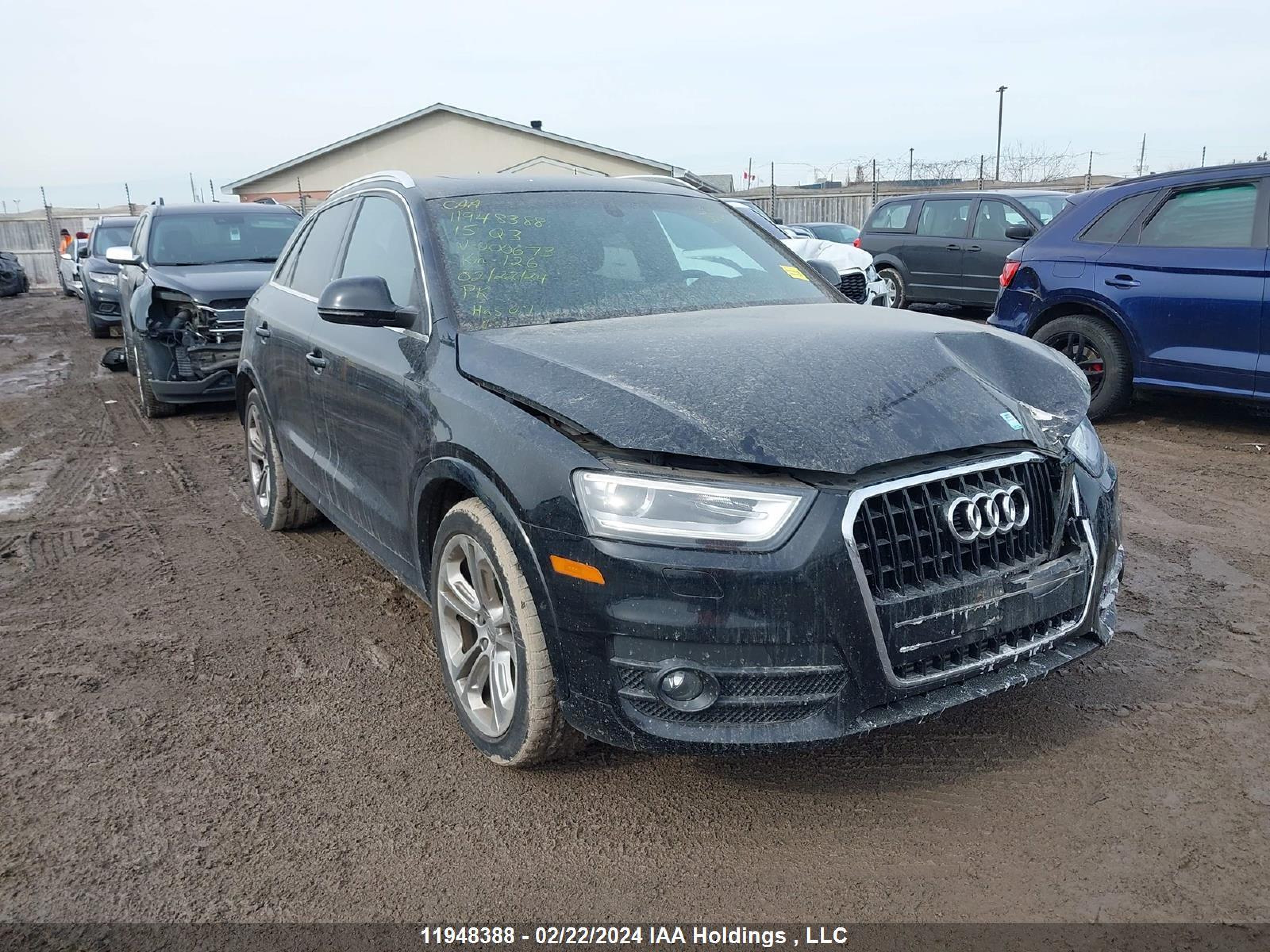 AUDI Q3 2015 wa1efefs4fr000673