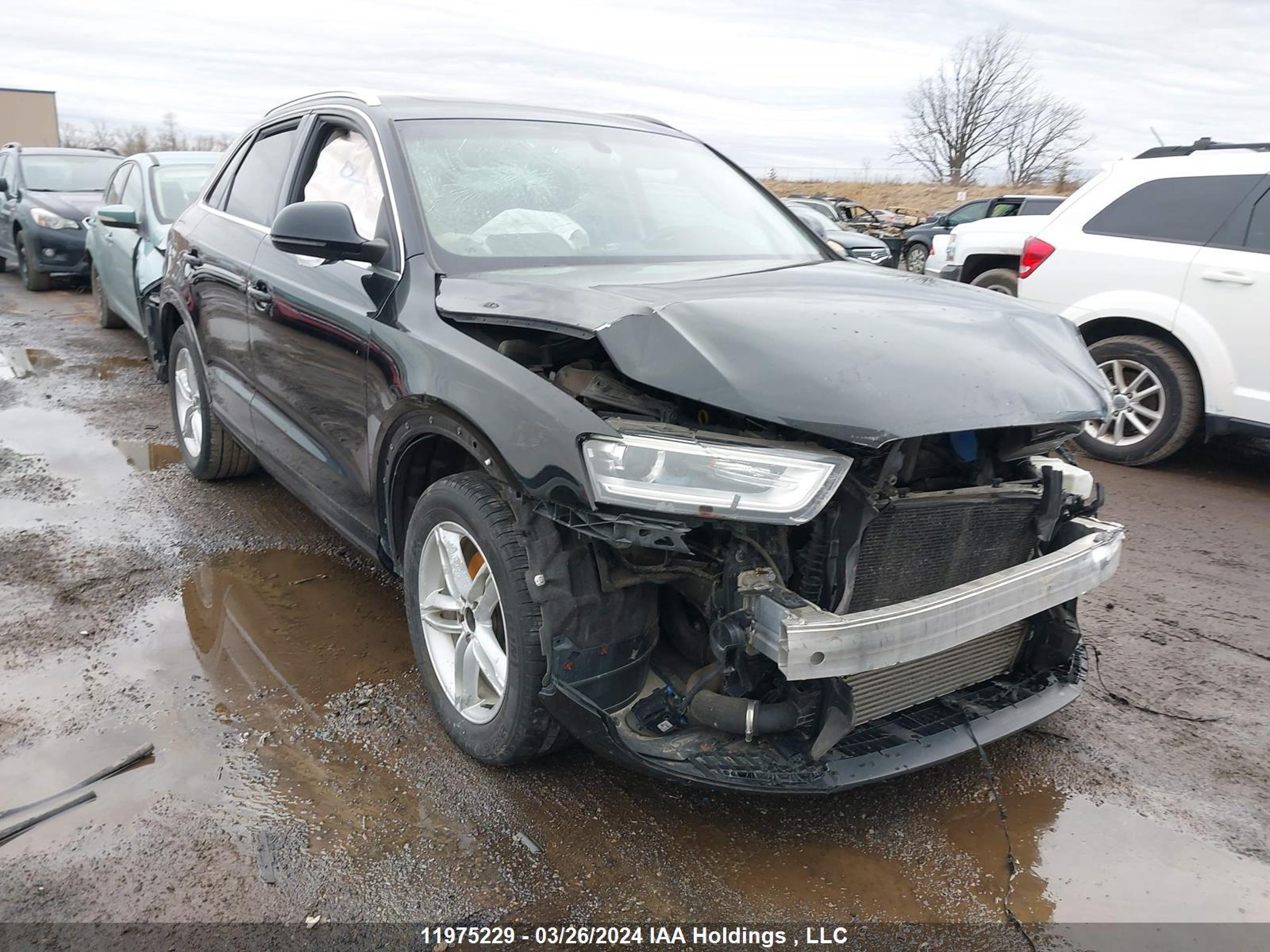 AUDI Q3 2015 wa1efefs9fr008056