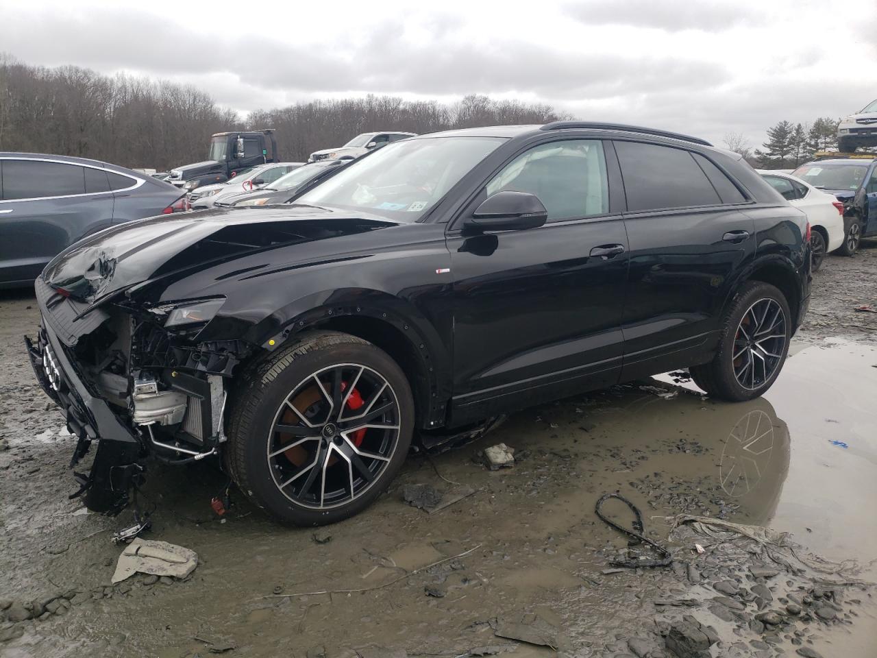 AUDI Q8 2023 wa1evbf15pd014671