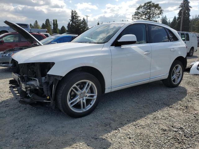 AUDI Q5 PREMIUM 2017 wa1l2afp3ha085062