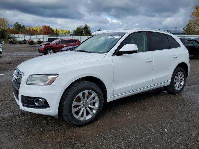 AUDI Q5 PREMIUM 2013 wa1lfafp3da014801