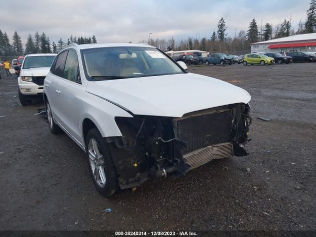 AUDI Q5 2013 wa1lfafp5da095896