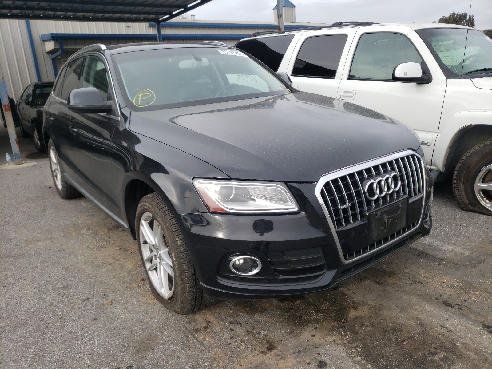 AUDI Q5 PREMIUM 2013 wa1lfafp7da017345