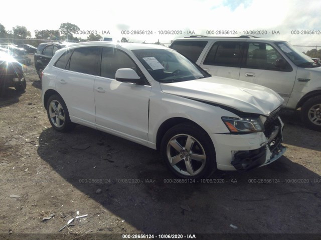 AUDI Q5 2011 wa1lfafpxba061210