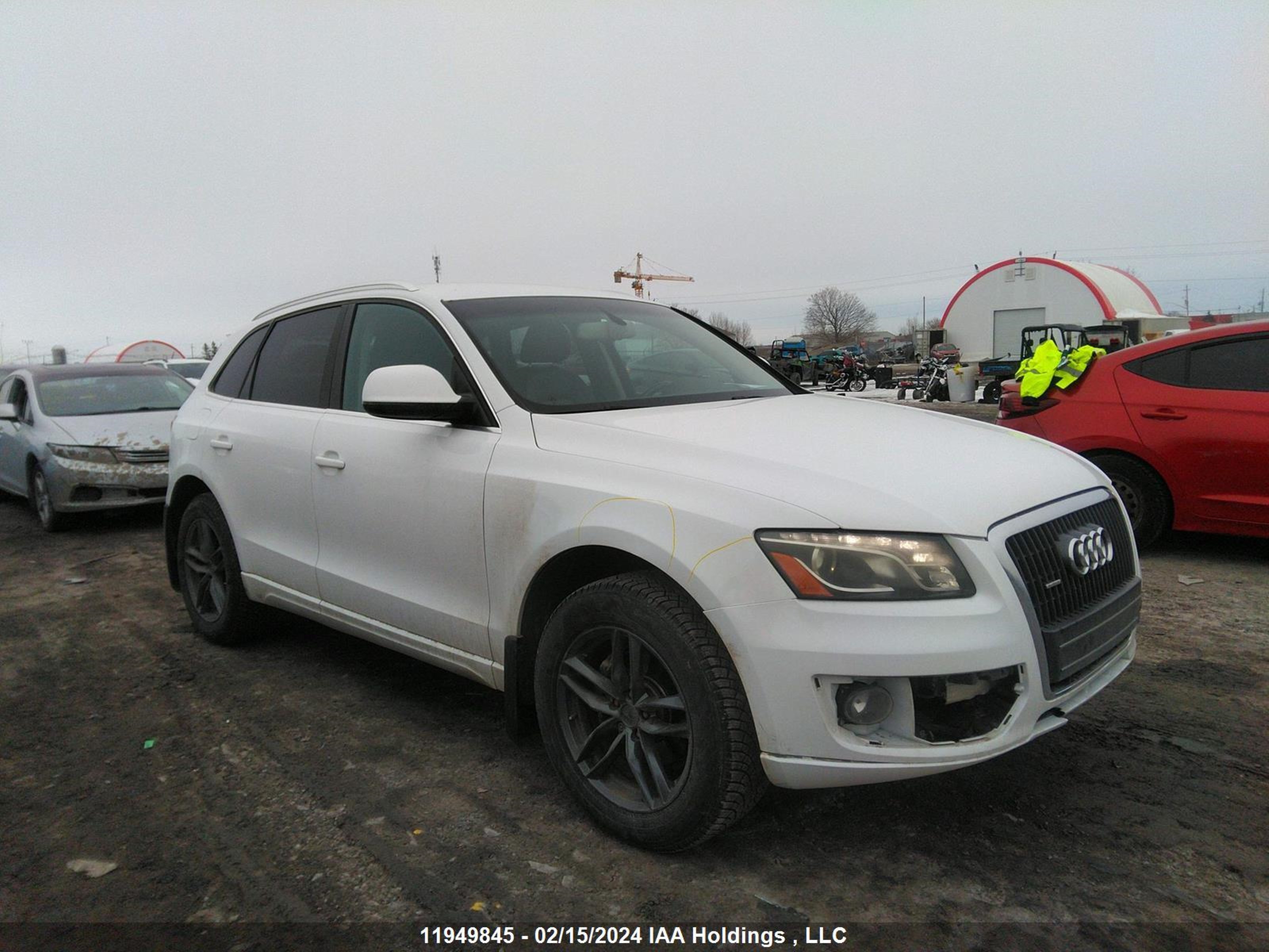 AUDI Q5 2011 wa1lfcfp5ba069226