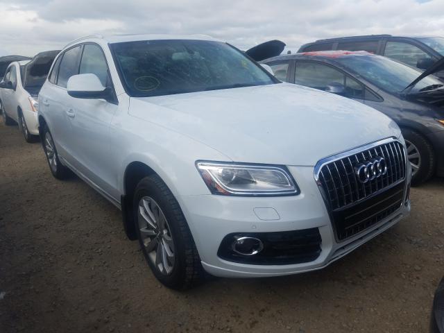 AUDI Q5 PREMIUM 2013 wa1lgcfp9da059945