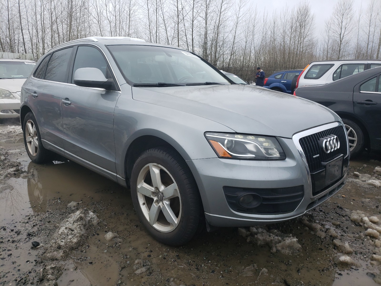 AUDI Q5 PREMIUM 2010 wa1lkafp0aa018683