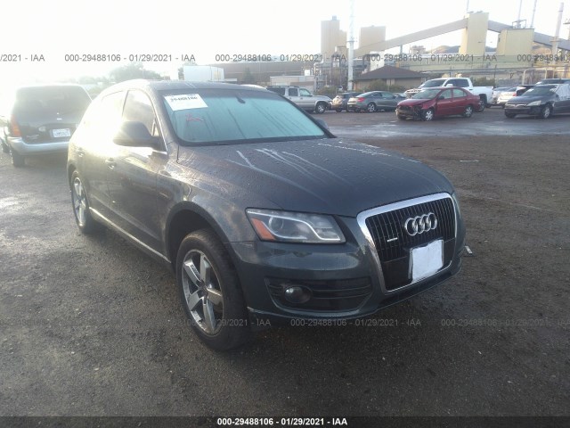 AUDI Q5 2010 wa1lkafp0aa036441