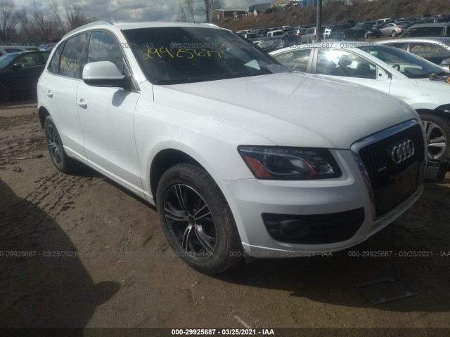 AUDI Q5 2010 wa1lkafp0aa047813