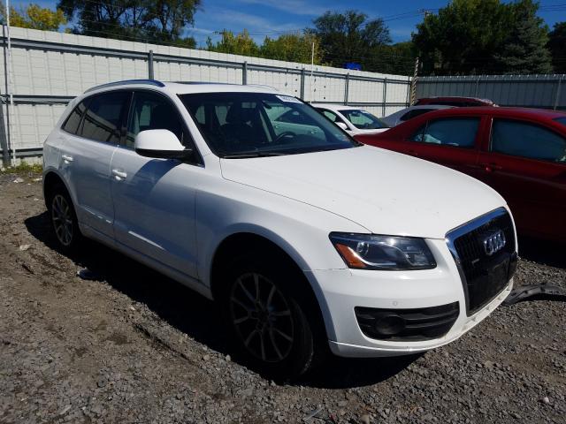 AUDI Q5 2010 wa1lkafp0aa086238