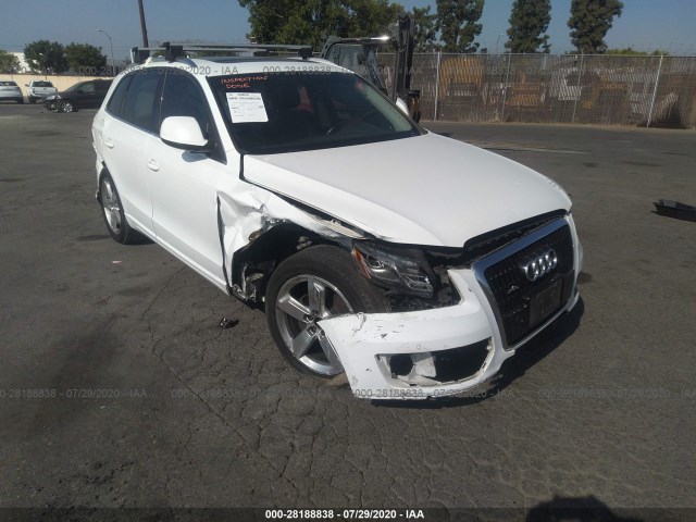 AUDI Q5 2010 wa1lkafp0aa096834