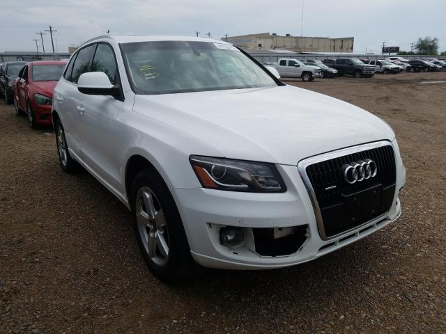 AUDI Q5 PREMIUM 2010 wa1lkafp3aa018239