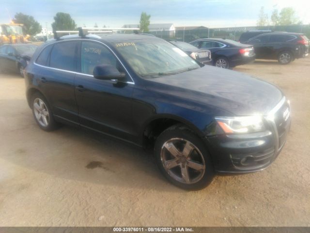 AUDI Q5 2010 wa1lkafp4aa056692