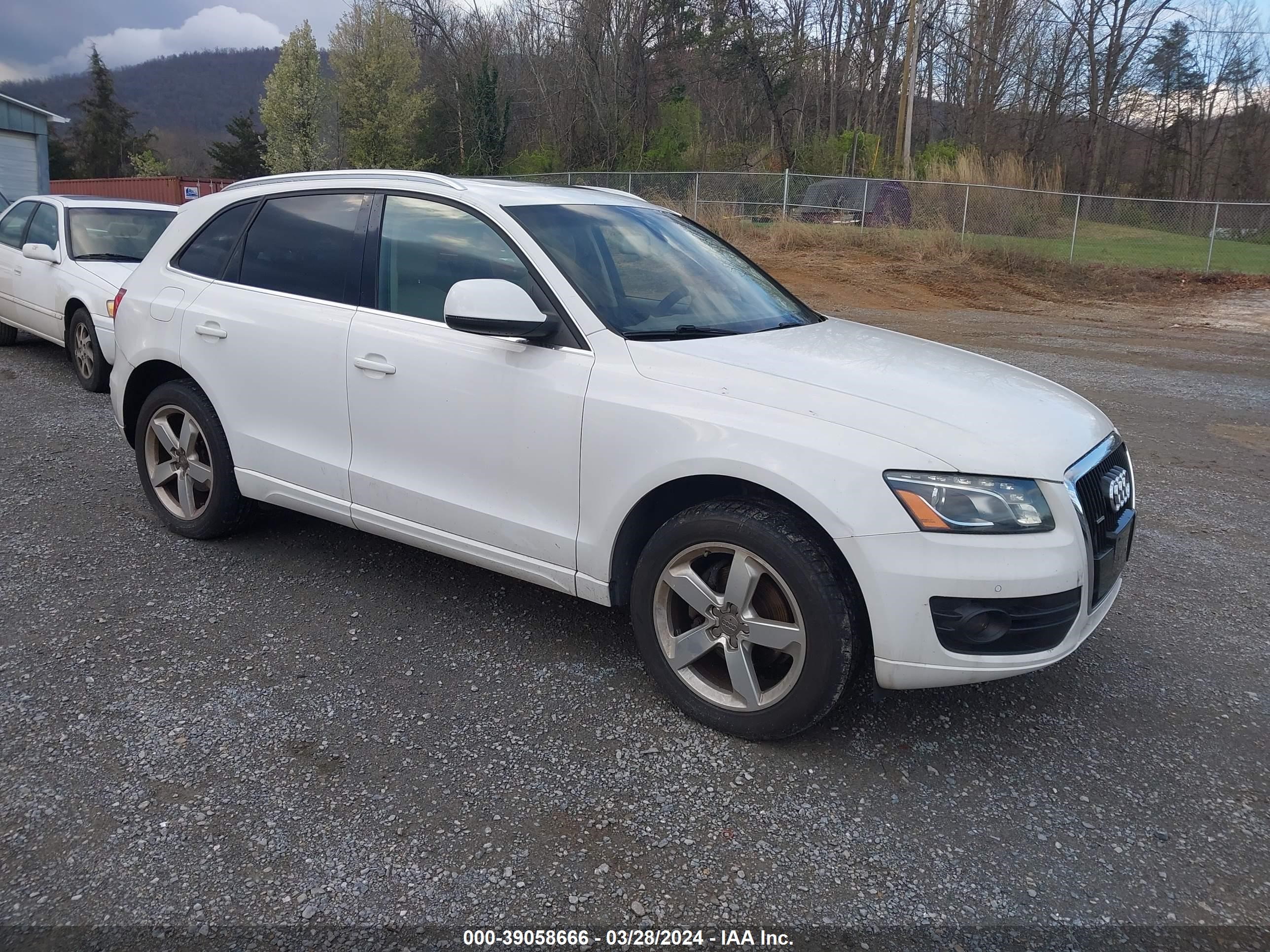 AUDI Q5 2010 wa1lkafp5aa034961