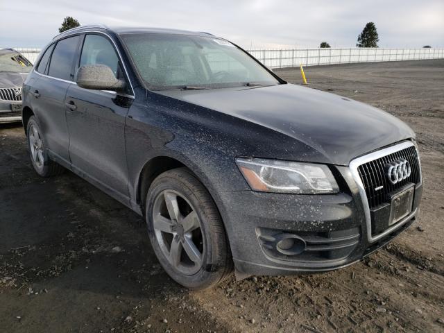 AUDI Q5 PREMIUM 2010 wa1lkafp5aa051680