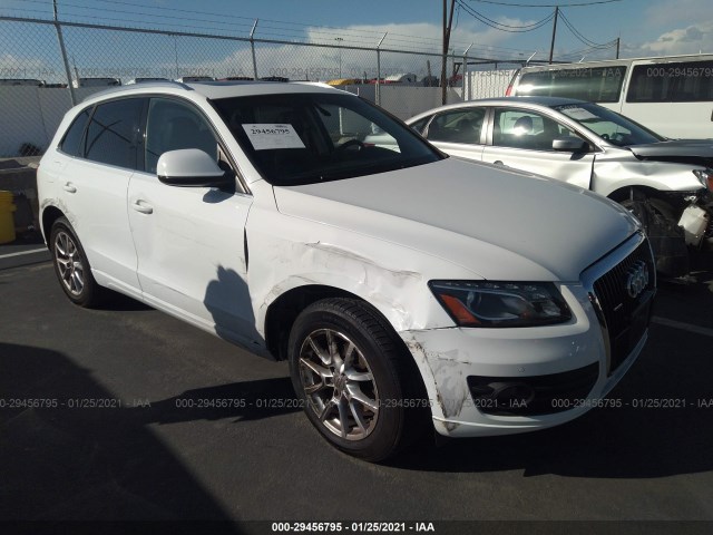 AUDI Q5 2010 wa1lkafp5aa099647