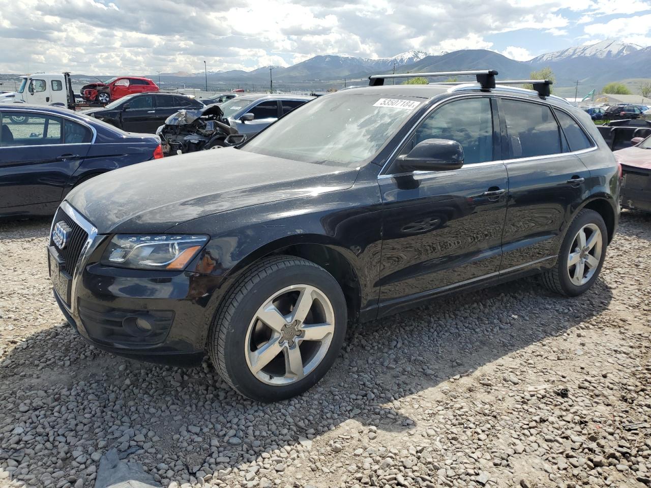 AUDI Q5 2010 wa1lkafp5aa102059