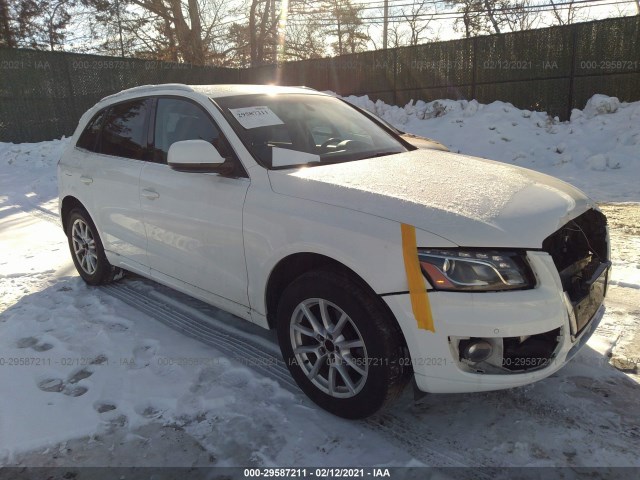 AUDI Q5 2010 wa1lkafp6aa064339