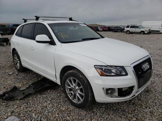 AUDI Q5 2010 wa1lkafp6aa093095