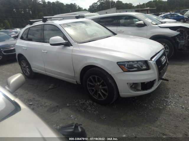 AUDI Q5 2010 wa1lkafp8aa088691