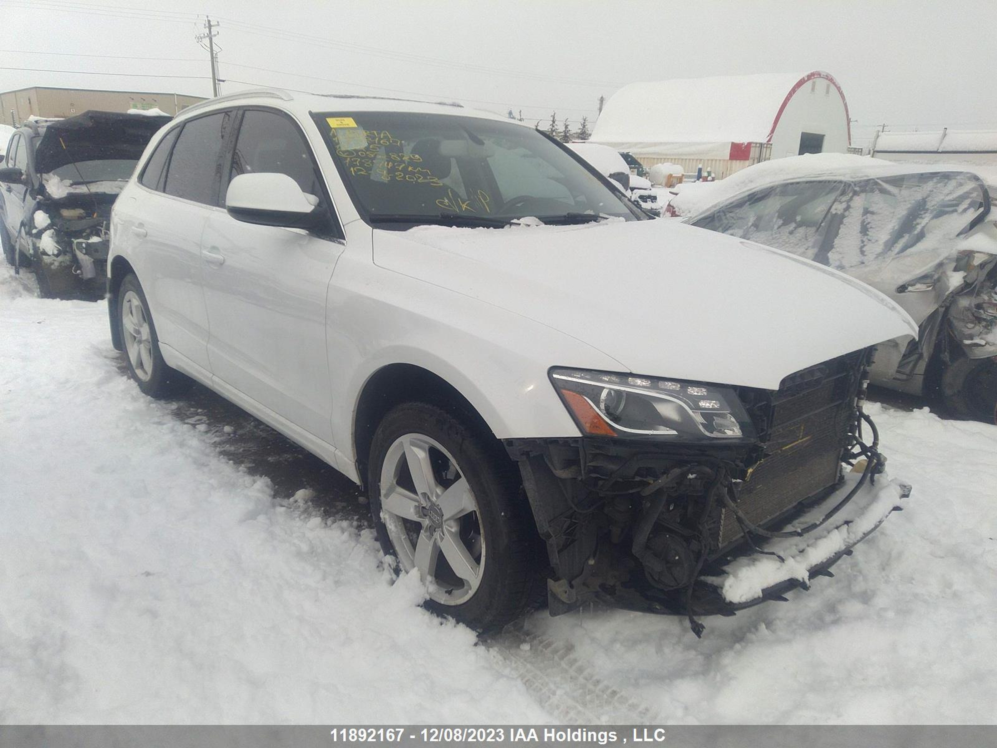 AUDI Q5 2011 wa1lkcfp7ba082829