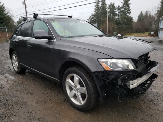 AUDI Q5 PREMIUM 2010 wa1lkcfp9aa019827