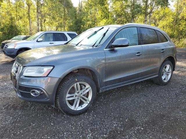 AUDI Q5 PREMIUM 2013 wa1mgcfp1da039810