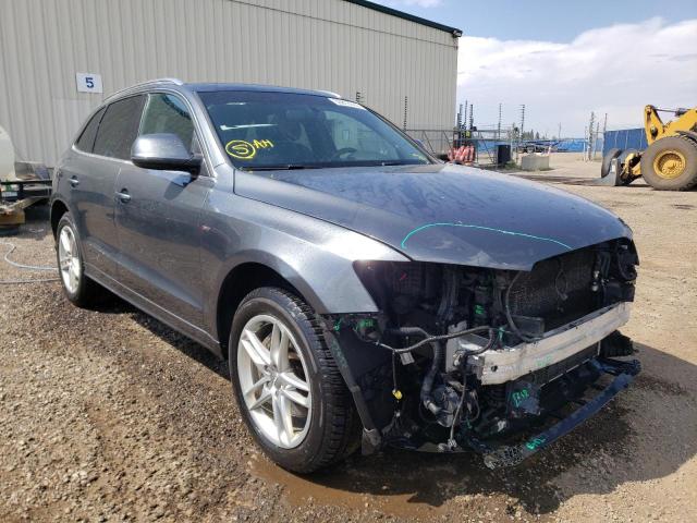 AUDI Q5 PREMIUM 2013 wa1mgcfp1da041945