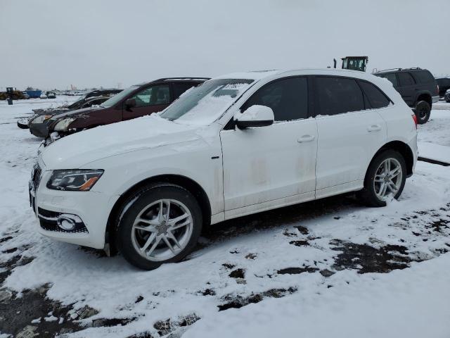 AUDI Q5 PREMIUM 2010 wa1mkafp2aa101181