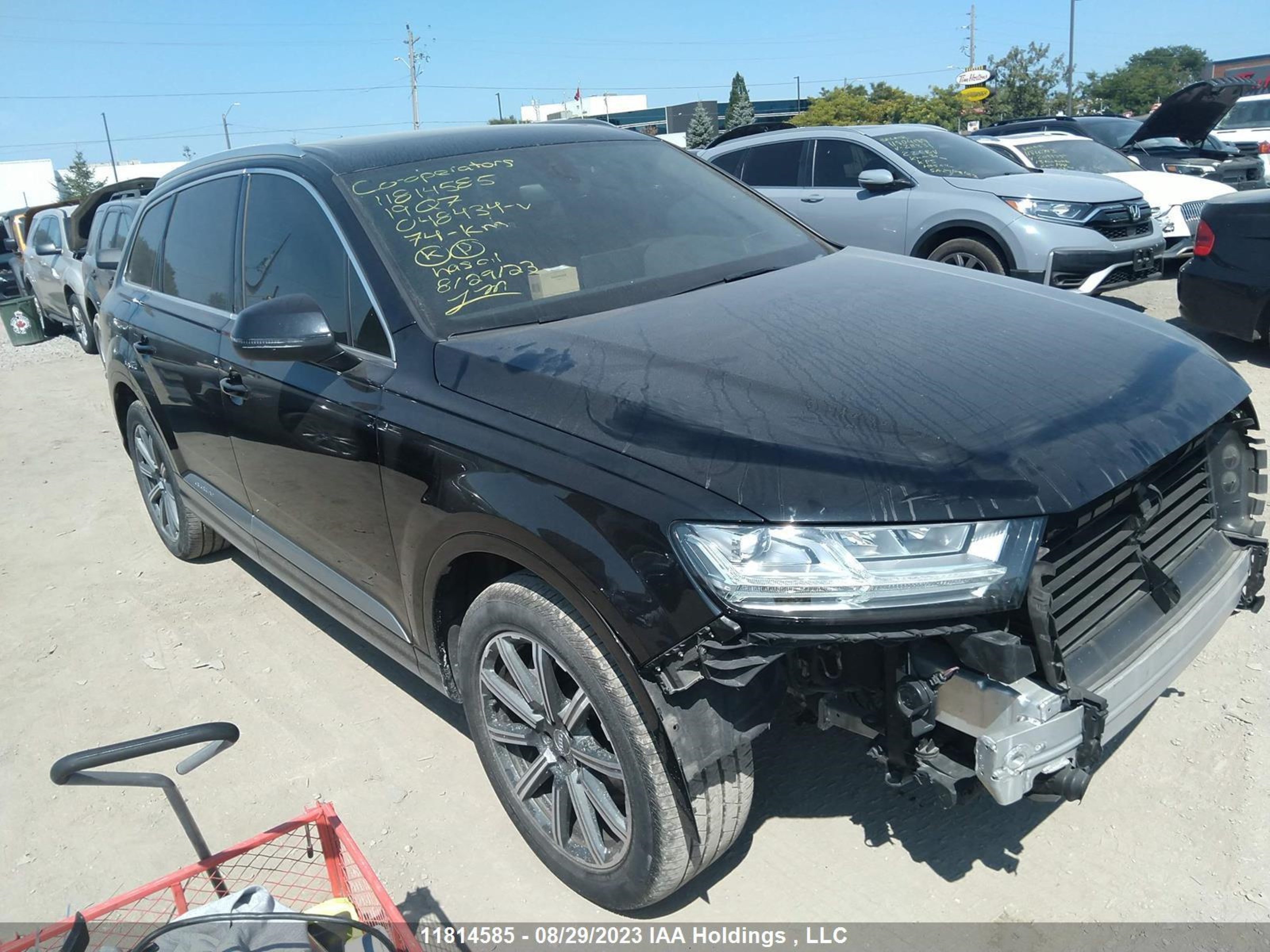 AUDI Q7 2019 wa1vaaf73kd048434