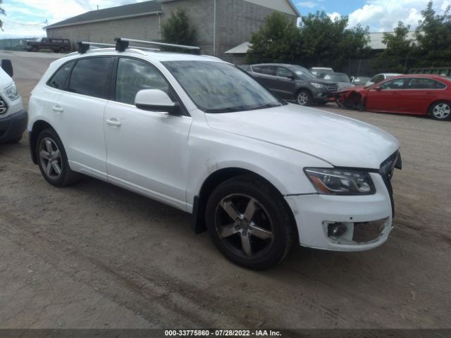 AUDI Q5 2010 wa1vkafp5aa043958