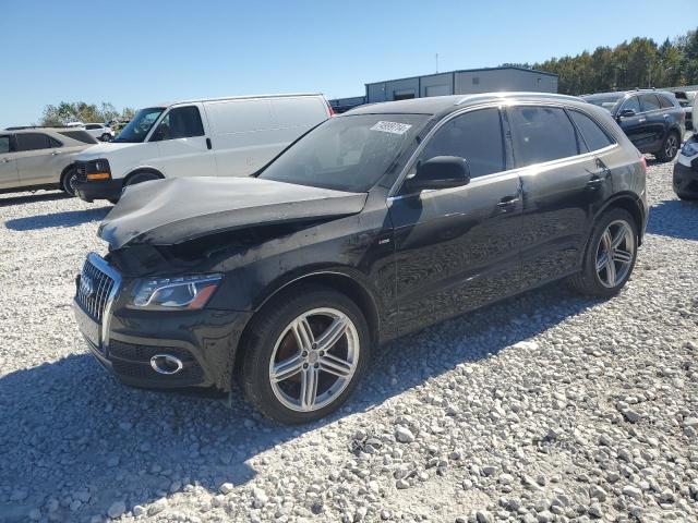 AUDI Q5 PRESTIG 2010 wa1wkafp9aa030859