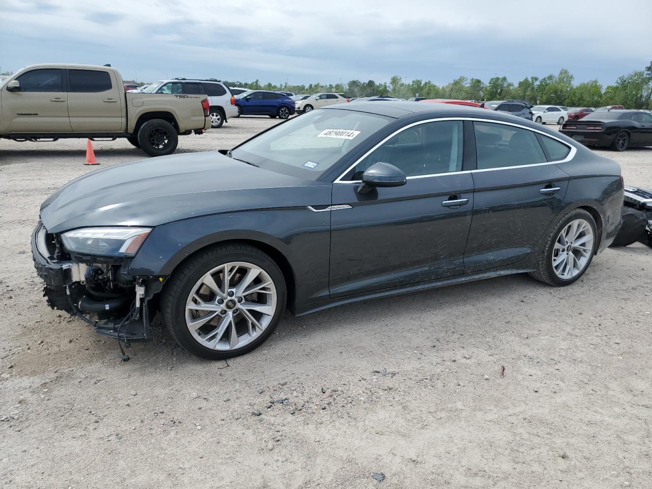 AUDI A5 2023 wauabcf56pa057811