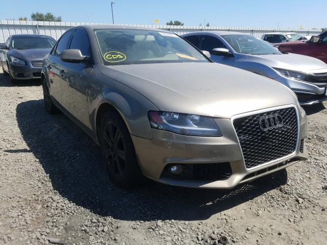 AUDI A4 PREMIUM 2010 wauafafl0an012791