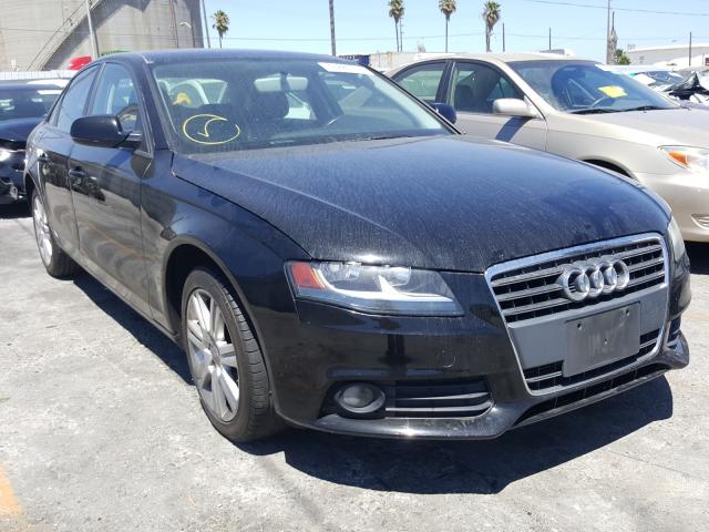 AUDI A4 PREMIUM 2010 wauafafl1an016896