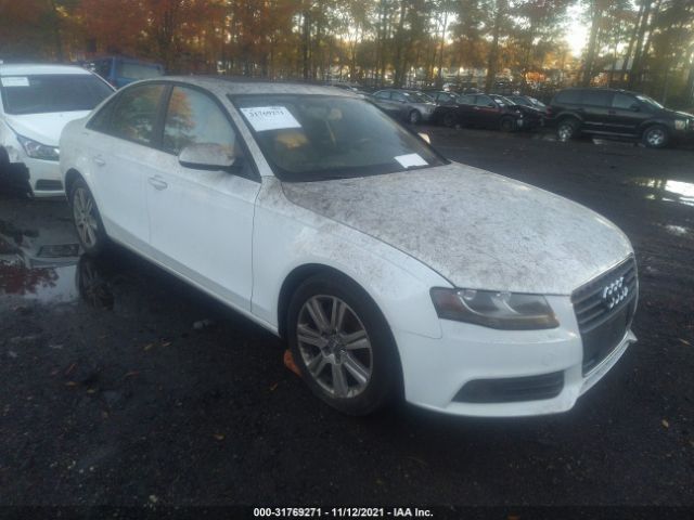 AUDI A4 2010 wauafafl1an033570