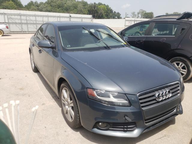 AUDI A4 PREMIUM 2010 wauafafl1an038834