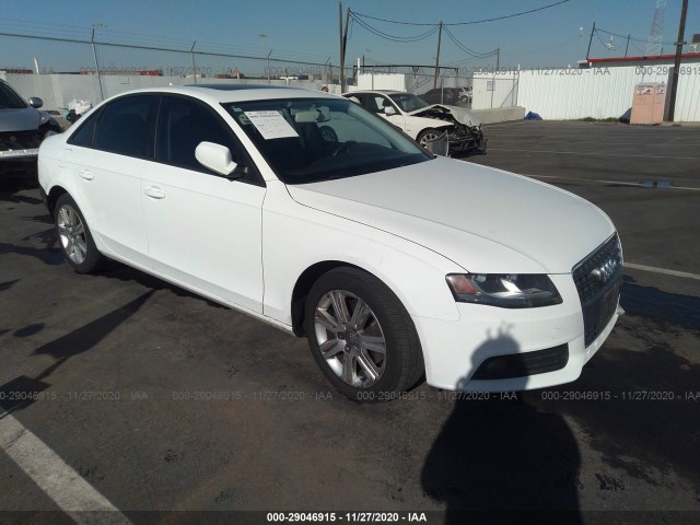 AUDI A4 2011 wauafafl1bn026927