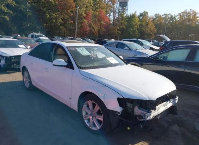 AUDI A4 2011 wauafafl1bn034462