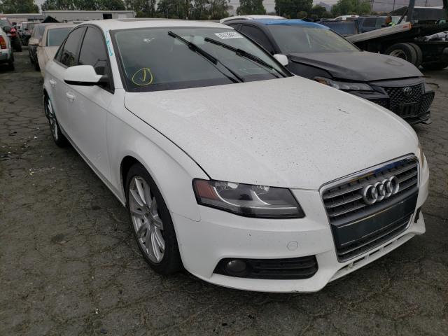 AUDI A4 PREMIUM 2011 wauafafl1bn055747